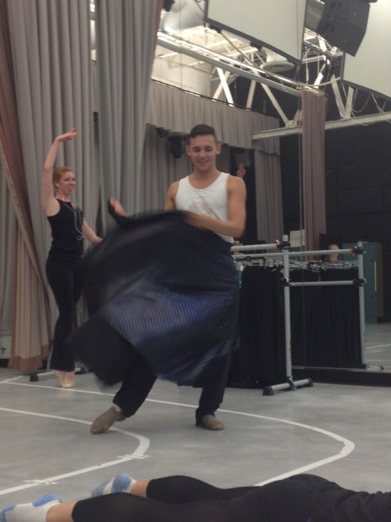 Searching for normalcy