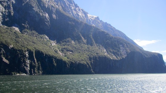 Can you see the ice?