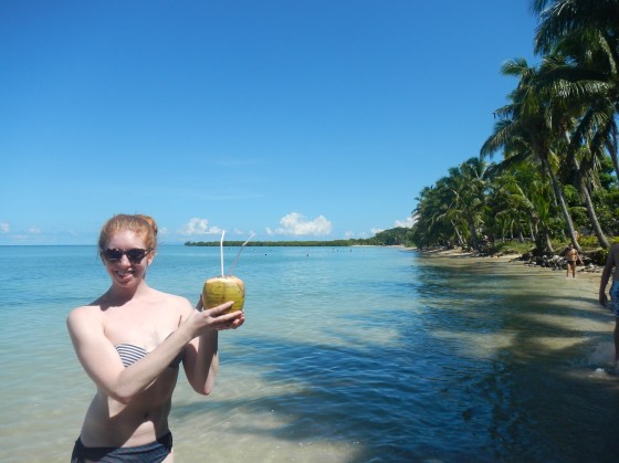 Cocktail in a coconut