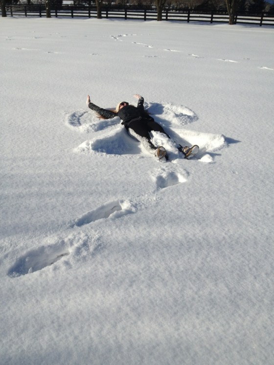 Snow Angel Pro