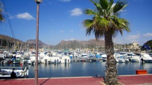 First view off the ship