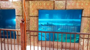 Outside view of the tank.  See the tube inside?