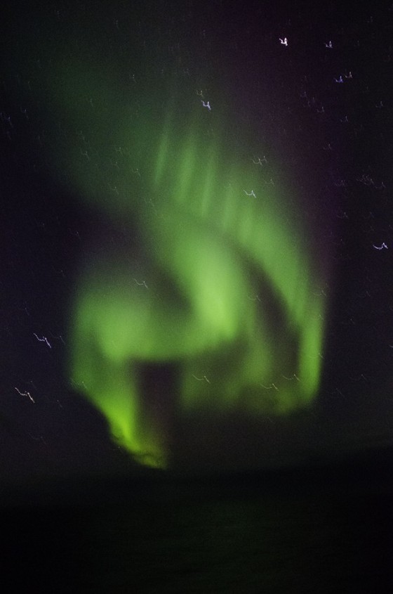 Northern Lights.  Photo by: Daffodaleia Williams