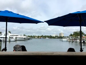 Marina in Fort Lauderdale