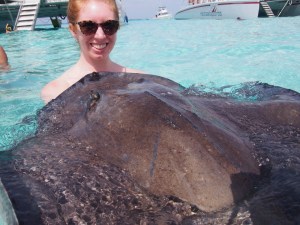 Giant stingray! 