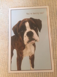 Cute pups will always cheer me up