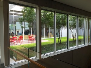 Large windows and a courtyard at the Kimbell